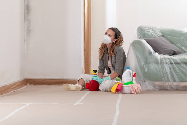 Reliable Mold Remediation contractor in Fleming Island, FL by WQB Mold Removal